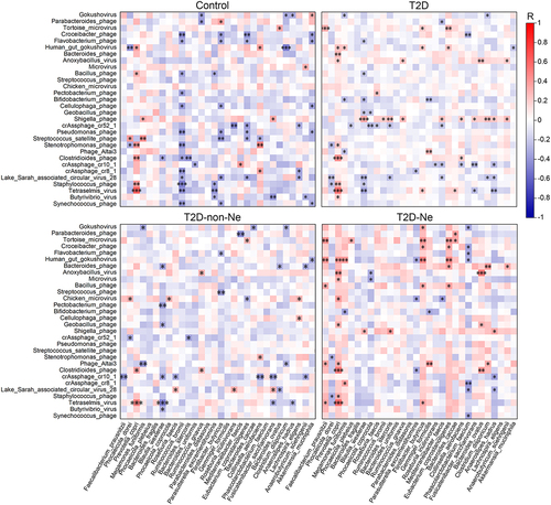 Figure 7. Alterations of transkingdom correlations between the gut virome and bacteriome in T2D, T2D-non-Ne and T2D-Ne compared with healthy controls. Heatmap shows color-coded Spearman’s correlations of the most abundant 30 virus species with the most abundant 30 bacteria species. Red color indicates positive correlation and blue color indicates negative correlation. Significant correlations are displayed with an asterisk. *P <.05, **P <.01 and ***P <.001.