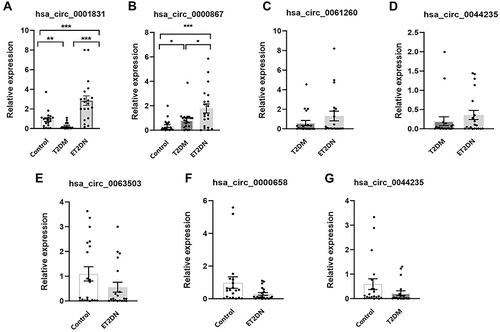 Figure 4 Verification of DECs by qRT-PCR. The expression of hsa_circ_0001831(A) and hsa_circ_0000867(B) in three groups; The expression of hsa_circ_0061260(C) and hsa_circ_0044235(D) in ET2DN vs T2DM group; The expression of hsa_circ_0063503(E) and hsa_circ_0000658 (F) in ET2DN vs control group; The expression of hsa_circ_0044235 (G) in T2DM vs control group. n=20, *p<0.05, **p<0.01, ***p<0.001.