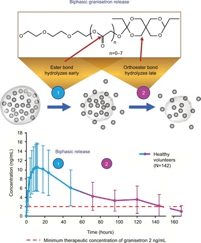 Figure 2 Biochronomer technology mechanism of action.