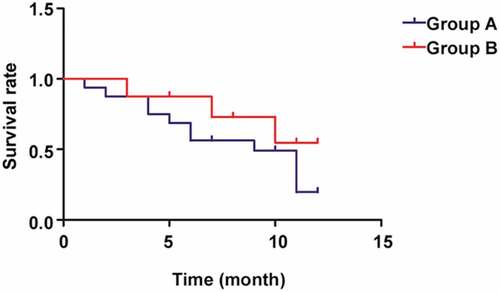 Figure 2. Patient survival in the two groups.