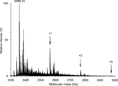 Figure 2.  Labeling of the peptide145–164 with DCCD. ESI-MS spectra were recorded to monitor the addition of DCCD groups to the Asp and Glu residues of the peptide145–164. The peptide (20 µg/ml) was incubated for 1 h with DCCD in 20 mM MES, 30 mM Tris buffer, pH 6.0. Before analysis, the buffer was removed on ZipTip C18 and the peptide was solubilized in 50% acetonitrile/ 1% formic acid (v/v). The different populations observed (arrows) correspond to the addition of 1, 2 and 3 DCCD molecules, respectively. The accuracy of mass measurement was in the order of 8 ppm.