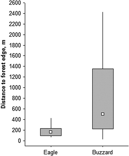 Figure 3. Distance to forest edge from the nest stands of the Common Buzzard (n = 53) and the Lesser Spotted Eagle (n = 26). The hollow square shows the median, the grey box gives the 25–75% range and the lines indicate the non-outlier range.