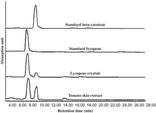 Figure 1 HPLC chromatogram of tomato skin extract, lycopene crystals, standard lycopene, and standard β-carotene using a C-18 column eluted with acetonitrile:dichloromethane:methanol (45:10:45) as the mobile phase.