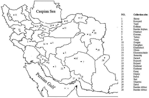 Figure 1. Collection sites of Ocimum ciliatum accessions.