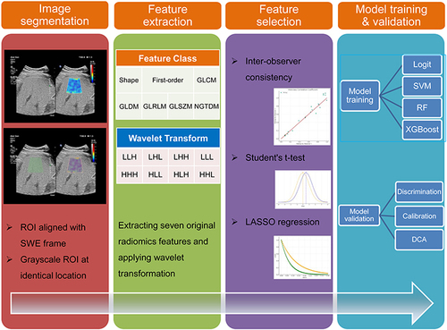 Figure 1 Workflow Diagram for ML Model Development with Liver Radiomics from Duplex Ultrasound. The process begins with image segmentation and radiomics analysis, leading to the establishment and validation of the ML model. In wavelet transformation, “L” represents low-frequency coefficients, while “H” signifies high-frequency coefficients.