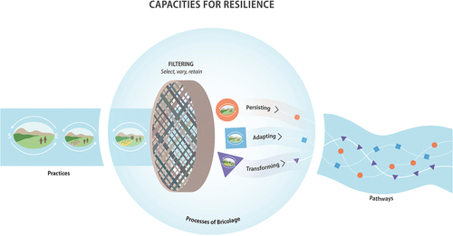 Figure 1. Resilience is the process of the ever-changing capacity to respond to change, through interacting dynamics of persisting, adapting and transforming. Bricolage and structuration theory help describe how practices are filtered and re-assembled to enact resilience capacities. Capacities to persist, adapt and transform are continuously interacting and being negotiated over time through processes of bricolage to form resilient pathways. Illustration by Azote.