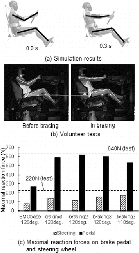Figure 4 Parametric simulations to investigate effect of muscle activation levels and knee angles in a driver's bracing conditions. (a) Simulation results. (b) Volunteer tests. (c) Maximal reaction forces on brake pedal and steering wheel.
