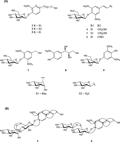 Fig. 1. Structures of compounds 1–9 (A) and key HMBC (H→C) correlations of compounds 1 and 2 (B).