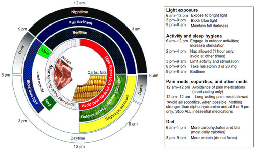 Figure 1 Evidence-based optimal circadian timing of light exposure, sleep, activity, and diet.