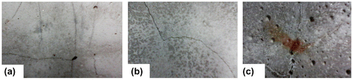 Figure 5. Corrosion status in the cracked (a) SHCC (b) M1 and (c) M2 specimens after 8 weeks of accelerated chloride exposure.