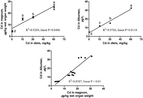 Figure 1. Effects of dietary Cd contamination on Cd levels in egg white and magnum of laying hens. Data are presented as mean ± standard error of means (SEM). Different letters (a, b, c, d) indicate significant differences between groups (p < .05). Linear regression analysis was used to assess the dose-response relationship between Cd exposure and Cd contents in albumen and magnum.