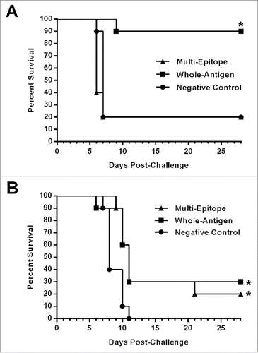 Figure 7. Survival of vaccinated HLA-DR3 mice after EBOV or VEEV challenge. Groups of HLA-DR3 mice (N = 10) vaccinated as described in the Methods section were challenged 4 weeks after the final vaccination with 103 PFU of ma-EBOV by IP injection or with 104 PFU of VEEV by aerosol. Kaplan-Meier survival curves indicating the percentage of surviving mice at each day of the 28-day observation period are shown. (A) Significantly increased survival was observed for mice receiving the whole-antigen DNA vaccines (*, p < 0.01). No significant protection against EBOV challenge was observed for mice receiving the multi-epitope vaccine. (B) Significantly increased survival against VEEV challenge was observed for mice receiving the whole-antigen DNA vaccine (*, p = 0.0095) or the multi-epitope vaccine (*, p = 0.0031) as compared with those receiving the negative control vaccine.