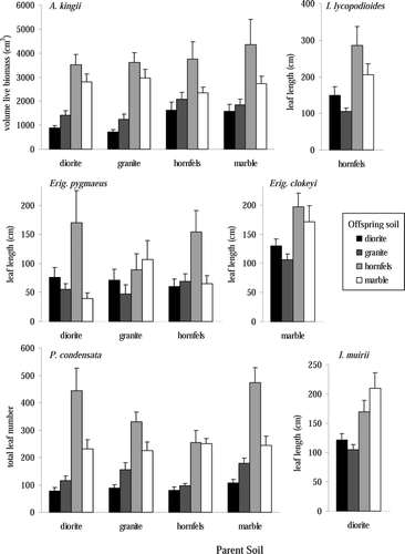 Figure 5 Plant biomass estimates after either one year (A. kingii and P. condensata) or two years (other species) of growth. Values are mean ± one standard error. Bar shading denotes the offspring soil into which seeds were planted.