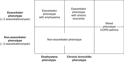 Figure 1. Clinical phenotypes of COPD proposed by the Spanish guideline for COPD (Guía Española de la EPOC; GesEPOC).