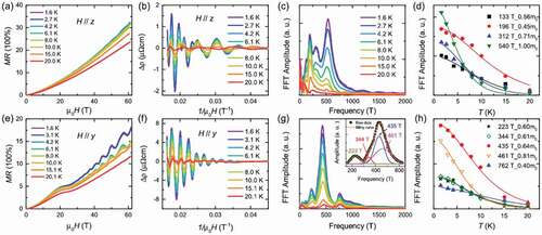 Figure 9. Quantum oscillation study of Co3Sn2S2. (a, e) Magnetoresistance as a function of the magnetic field μ0H at different temperatures for H ∥ z-axis and H ∥ y-axis, respectively. (b, f) The oscillatory part of the resistivity Δρ for H ∥ z-axis and H ∥ y-axis, respectively. (c, g) Fast Fourier transform spectra at various temperatures. The inset shows the multi-peak fitting used to distinguish between superposed frequencies. (d, h) The LK fitting with the effective masses [Citation109].
