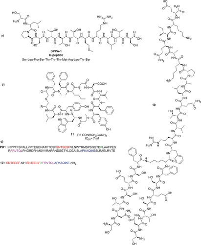 Figure 5. a) Hydrolysis-resistant D-peptide antagonist to target the PD-1/PD-L1 b) Macrocyclic peptidic inhibitor c) Peptide antagonist of PD-L1 (10) along with its sequence similarities to PD-1.