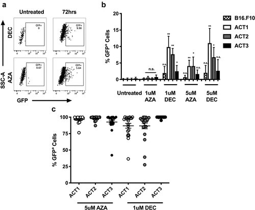 Figure 5. Azacytidine and decitabine treatment restores antigen expression to a proportion of escaped tumor cells. (a) AB16.OVA.GFP tumor explants from ACT-treated mice were cultured in the presence of 5 uM AZA or 1 uM DEC for 72 h alongside matched untreated (vehicle) controls and GFP expression was measured by flow cytometry. Data are representative dot plots showing GFP expression in the untreated or treated tumor explant. (b) GFP expression in B16.F10 control or ACT treated (ACT1–3) explant lines after 72 h of treatment with AZA or DEC at 1 uM or 5 uM concentrations. Data are pooled from two independent experiments and n = 4 per group. Error bars represent the mean ± SD, * = p < .05, ** = p < .01, compared to untreated control cells arising from the same explant or cell line. (c) The percentage of tumor cells remaining GFP+ 2–3 weeks after treatment for 72 h with 5 uM AZA or 1 uM DEC. At least 20 individually sorted GFP+ clones giving rise to colonies were measured for each ACT-treated explant. Dots represent individual tumor colonies.