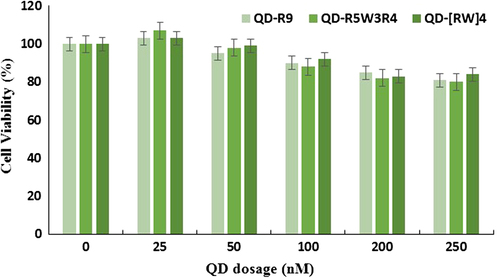 Figure 3. Cell viability of QD–CPP. A549 cells were treated with QD–CPP complexes (1/40 ratio) for 24 h. The concentrations of QDs used were 25, 50, 100, 200, and 250 nM.