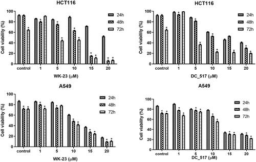 Figure 4. Effect of WK-23 and DC_517 on the viability of human colon cell lines and human lung cell lines. WK-23 has stronger concentration dependence and time dependence than DC_517, which inhibited the viability of HCT116 and A549 cells in the cell viability assay. Significance between groups was analysed by one-way analysis of variance (ANOVA) using IBM SPSS software. *p < 0.05.