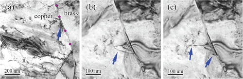 Figure 1. Perfect dislocation emissions from a Cu/brass interface. (a) A Cu grain–brass interface delineated by four purple dots. The blue arrow indicates a stress concentration spot. (b) A perfect dislocation (marked by the blue arrow) emitted from the interface at the stress concentration spot. (c) The dislocation reached the sample surface and broke to two segments as indicated by two blue arrows.