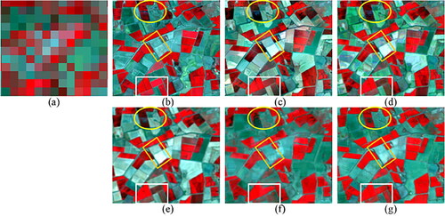 Figure 8. Enlarged details in the yellow rectangle in Figure 7. (a) Observed MODIS image on February 13, 2002. (b) Ground Truth . (c) STARFM. (d) FSDAF. (e) EDCSTFN. (f) GAN-STFM. (g) EDRGAN-STF.