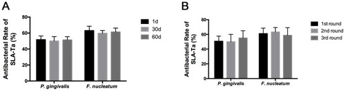 Figure 3 Antibacterial rates of the SLA-Ta surface after incubation with PBS for 1, 30, and 60 days (A) and repeated bacterial attack (B).
