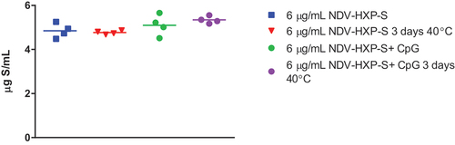 Figure 5. NDV-HXP-S controlled temperature chain stability. NDV-HXP-S vaccine was prepared at 6 µg/mL S-antigen with and without 3 mg/mL CpG 1018® adjuvant in saline and held at 2°C to 8°C for 6 months. After 6 months samples were moved to 40°C and held for 3 days prior to testing for S-antigen content by inhibition ELISA.