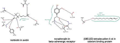 Figure 1. This figure shows three ligands in decreasing order of affinity and specificity from left to right. These diagrams are generated by Poseview [Citation30].