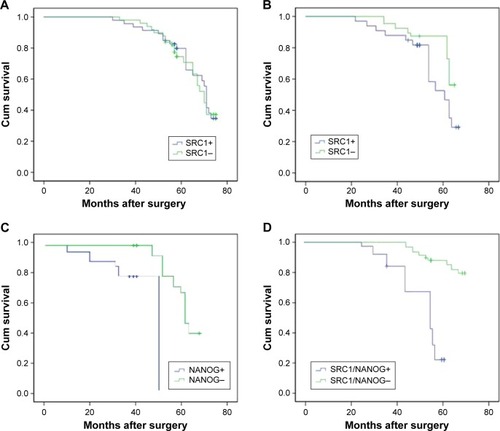 Figure 2 Survival analysis of SRC1 and NANOG expression in breast cancer.