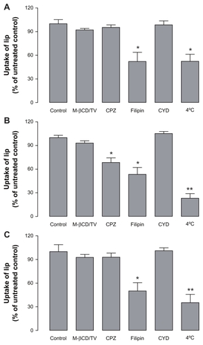 Figure 5 Effects of the different endocytotic inhibitors and temperature on the uptake of unmodified liposomes (A), Pluronic® F127-inlaid liposomes (B), and Pluronic F127-adsorbed liposomes (C) into Caco-2 cells.Abbreviations: M-βCD/TV, methyl-β-cyclodextrin + lovastatin; CPZ, chlorpromazine; CYD, cyclochalasin D; lip, liposomal nanocarriers.