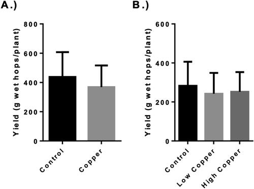 Figure 1. Hop yield. The yield of wet hops in grams from each bine for the 2018 (Panel A) and 2019 (Panel B) harvests. Error bars represent the standard deviation of the samples for 2018 (n = 10 per treatment) and 2019 (n = 6 per treatment). No statistically significant differences were found between treatments within harvest years (α = 0.05).