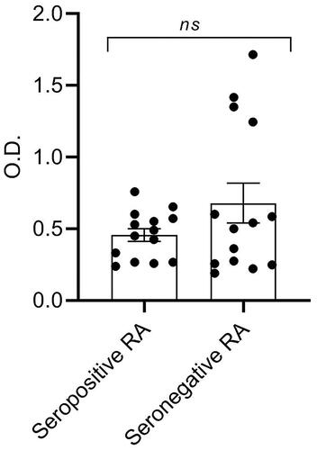 Figure 2. Level of Abs against citrullinated PsoP27 in SF of seropositive and seronegative RA patients. SF were analyzed for level of Abs against citrullinated PsoP27 in samples of seropositive (n = 14) and seronegative (n = 14) RA patients. Level of Abs against citrullinated PsoP27 is shown as the value of optical density (O.D.). The p values were calculated using the Mann–Whitney U test. ns: non-significant.