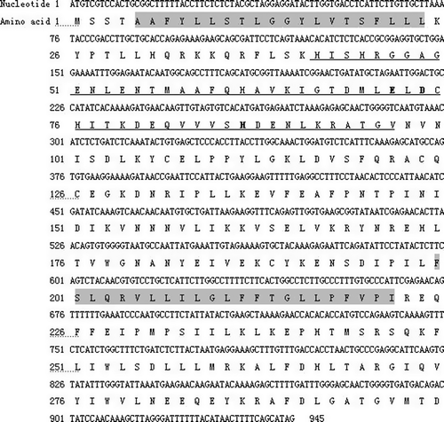 Figure 1.  Nucleotide and deduced amino acid sequences of human GDE4. Both nucleotide and predicted amino acid sequences are countered on the left side. The accession number is EU192951. The sequences of the transmembrane regions were shaded in black (residues 5–24 and 200–222), and the sequence of GDE domain (residues 42–97) is underlined, in which the deduced active sites (Glu72, Asp74, and His87) are typed in bold. Asterisk represents the stop codon.