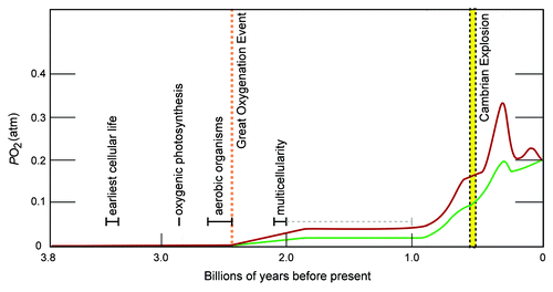 Figure 1. Key events in biological evolution superimposed on the range of oxygen levels in the earth's atmosphere. The figure was modified from reference Citation117 with the author's permission. More recent data indicate a transient rise in levels (of 0.04–0.1 pO2) between 2.0 and 2.4 billion years before the present.Citation160 The biological evolutionary times are compiled from several references and citations within.Citation116,Citation117,Citation170 The geological times have wide variances and change as new data and models accumulate.