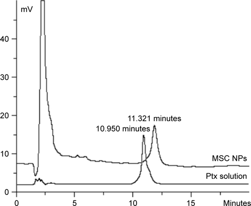 Figure S7 High-performance liquid chromatography (HPLC) of Ptx and intracellular Ptx extracted from MSC NPs.Note: Ptx solution (10 µg/mL) and extraction from 106 MSCs incubated with 8 ng/mL Ptx-PLGA NPs for 8 hours were analyzed by HPLC.Abbreviations: Ptx, paclitaxel; MSC NPs, MSCs loaded with paclitaxel poly(d,l-lactide-co-glycolide) nanoparticles; PLGA, poly(d,l-lactide-co-glycolide).