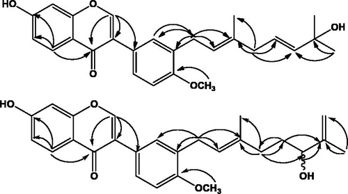 Figure 1. Key HMBC correlations of compounds 1 and 2.