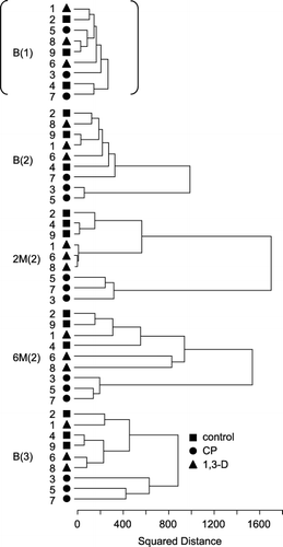 Figure 6  Dendrogram analysis of 18S rDNA denaturing gradient gel electrophoresis profiles of bulk soil samples taken in the first trial before fumigation (B(1)), in the second trial before, 2 and 6 months after fumigation (B(2), 2 M(2) and 6 M(2), respectively), and in the third trial before fumigation (B(3)). Untreated control plots (2, 4 and 9; ▪), and 1,3-dichloropropene (1,3-D) plots (1, 6 and 8; ▴) chloropicrin (CP) plots (3, 5 and 7; •). The dendrogram was calculated on the basis of squared distance of similarity using the clustering algorithm of the unweighted pair group method with the arithmetic mean.