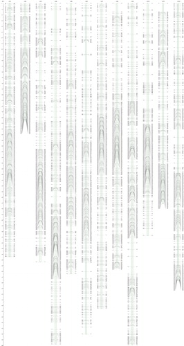 Figure 3. High-density interspecific genetic bin map of pepper between Capsicum annuum-007EA and C. frutescens-P1512. This genetic map comprises 12 linkage groups (LG1-LG12) with 3,708 bin markers. Genetic distances (cM) are listed to the left of each linkage group, and bin markers to the right.