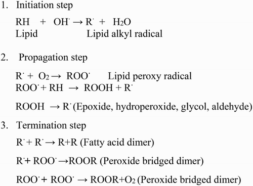 Figure 1. Steps involved in lipid peroxidation.
