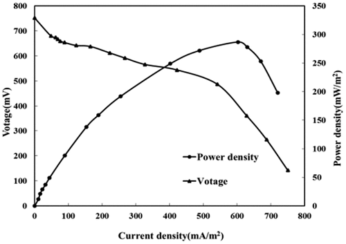 Figure 4. Polarization curve and power density curve of the compound strains