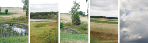 Figure 7. Selected examples of photography with landscape frames—analytical and painting stage of the project, Przytarnia, Lipinko 2021–22.