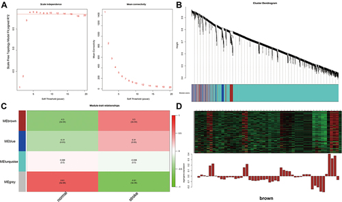 Figure 2 (A) The optimal soft threshold for constructing the tree graph. (B) Hierarchical clustering tree. (C) The correlation between modules and different types. (D) The expression of genes in the brown module.