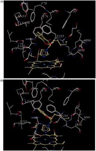 Figure 4. (a) (SS)-enantiomer of compound 4d in the active site of enzyme. Note that carbonyl group of compound 4d orients towards Phe255 carbonyl group; (b) (RR)-enantiomer of compound 4d in the active site of enzyme. Note that carbonyl group of compound 4d orients toward the guanidine group of Arg96. For the sake of clarity only amino acids within 7 Å distant from the docked ligand are shown.