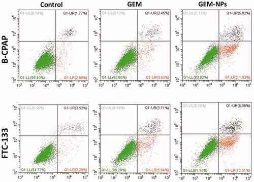 Figure 7. Apoptotic examination of B-CPAP and FTC-133 thyroid cancer cell lines using flow cytometry. The cells were treated with GEM and GEM-NPs (IC50 concentration) for 24 h, and stained with FITC annexin V/PI for flow cytometry investigation.