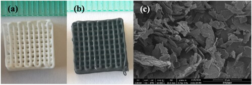 Figure 2. Digital images of the scaffolds prepared in the study, (a) bare PCL; (b) graphene-containing PCL (10 wt%); (c) SEM micrograph of the as-received graphene nanopowders.