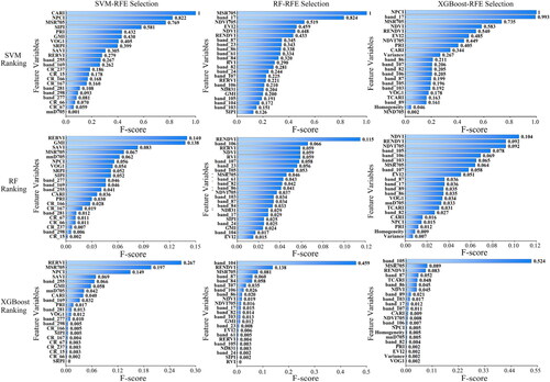 Figure 6. Importance scores for characteristic variables. The sorting of features selected based on the combination of SVM, RF, XGBoost and RFE is different in the three algorithms of SVM, RF and XGBoost. The importance ranking of vegetation indices was greater than that of spectral features and texture features in all models.