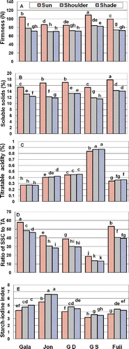 FIGURE 3 Treatment combinations of cultivar and side of fruit analyzed for flesh firmness, SSC, TA, SAR, and starch index. Each bar represents the MFSC. Bars with different letters above them are significantly different (P < 0.05) from other bars in the figure for that quality trait.