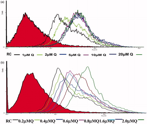 Figure 1. Flow cytometric analysis of increasing concentrations of rhodamine-B on MCF-7.