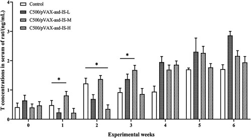 Figure 5. T concentrations in the serum of rats. Results were compared with the control group at each week and data are presented as the mean ± SEM (n = 10), * and ** indicate significant differences p <0.05 and p <0.01 respectively among groups.
