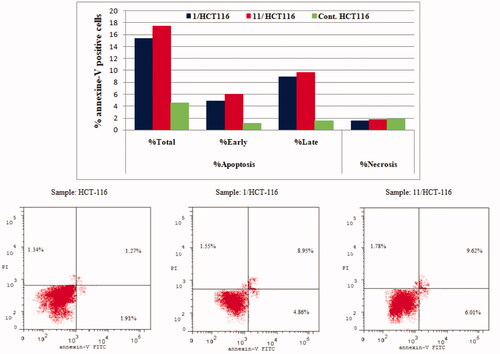 Figure 7. Effect of compounds 1, 11 and vehicle control on the percentage of annexin V-FITC-positive staining in HCT-116 cell line. The experiments were done in triplicates. The four quadrants identified as: LL, viable; LR, early apoptotic; UR, late apoptotic; UL, necrotic.
